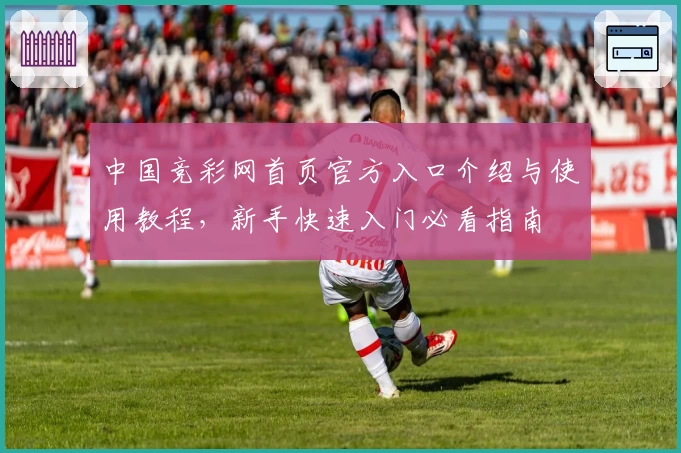中国竞彩网首页官方入口介绍与使用教程,新手快速入门必看指南