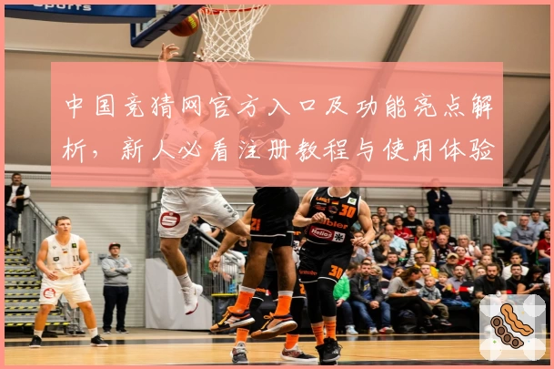 中国竞猜网官方入口及功能亮点解析，新人必看注册教程与使用体验分享