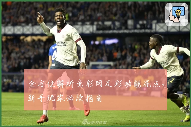 全方位解析竞彩网足彩功能亮点,新手玩家必读指南